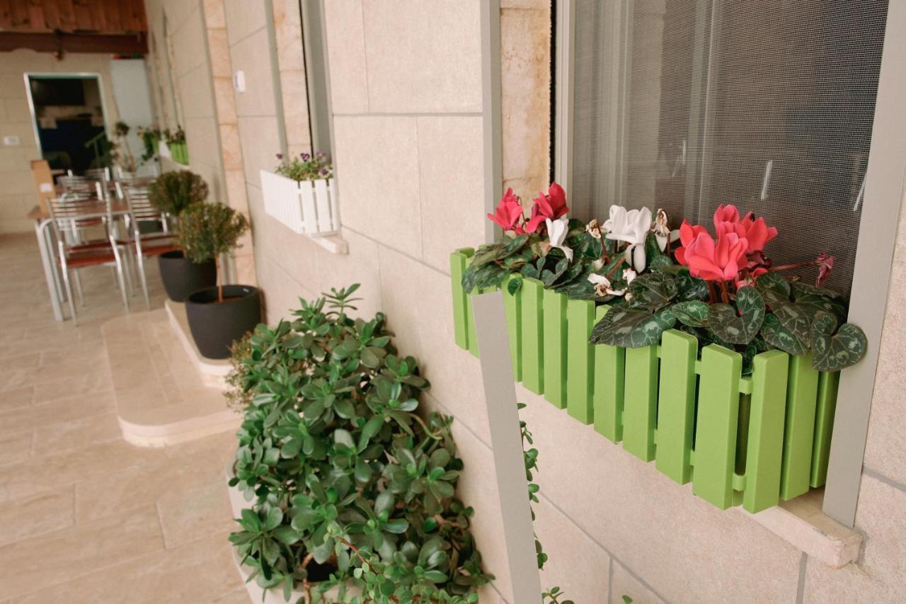 الناصرة Louis Guesthouse المظهر الخارجي الصورة